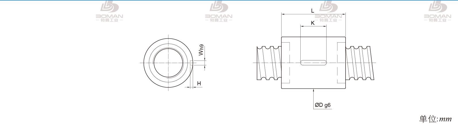 PMI RSIC10016-5 pmi滚珠丝杆的轴环作用